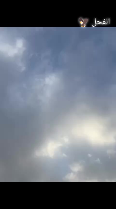 للــبــيـع دراجــة شــحــن
#R7

#شـركــة_R7

#موديل_2026_الاصدار_الاخير

#فــووولل_للأخـيـر_بـدون_نـقـص

#يـرجـع_عـالـبـگ_لايـت_عـالـي_نـاصـي

#اشـايـر_و_دبـل_اشـارة_لـدات

#سـرعـة_109_اربـعـة_گـيـر

 #فول_ترتيب

#كلو_شرطط 

#الــسسـعــرر_600_وبـي_مـجـال

#مكاني_تكريت_العلم

***********

شرط الفحص شخط مابي شرطططط
