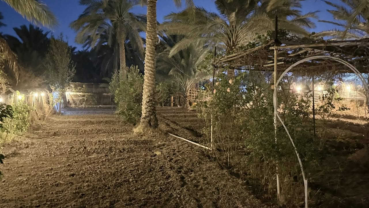 السلام عليكم عدي بستان ٧٠٠م طريق بغداد سند ٢٥ تيل ٥٢ خلف الخباطه المركزيه منطقه ابو زرع وت ساب ***********
