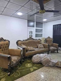 تخم قنفات تركي • مودرن • كركوك