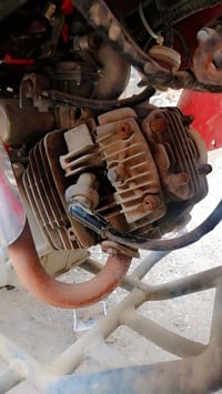 دراجه • ناريه • للبيع