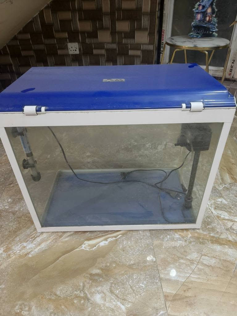 السلام عليكم عندي حوض سمك للبيع السعر ٤٠ وبيه مجال المكان نجف كوفه حي ميسان نضيف الحوض وكله شغال رقم *********** النجف, العراق
