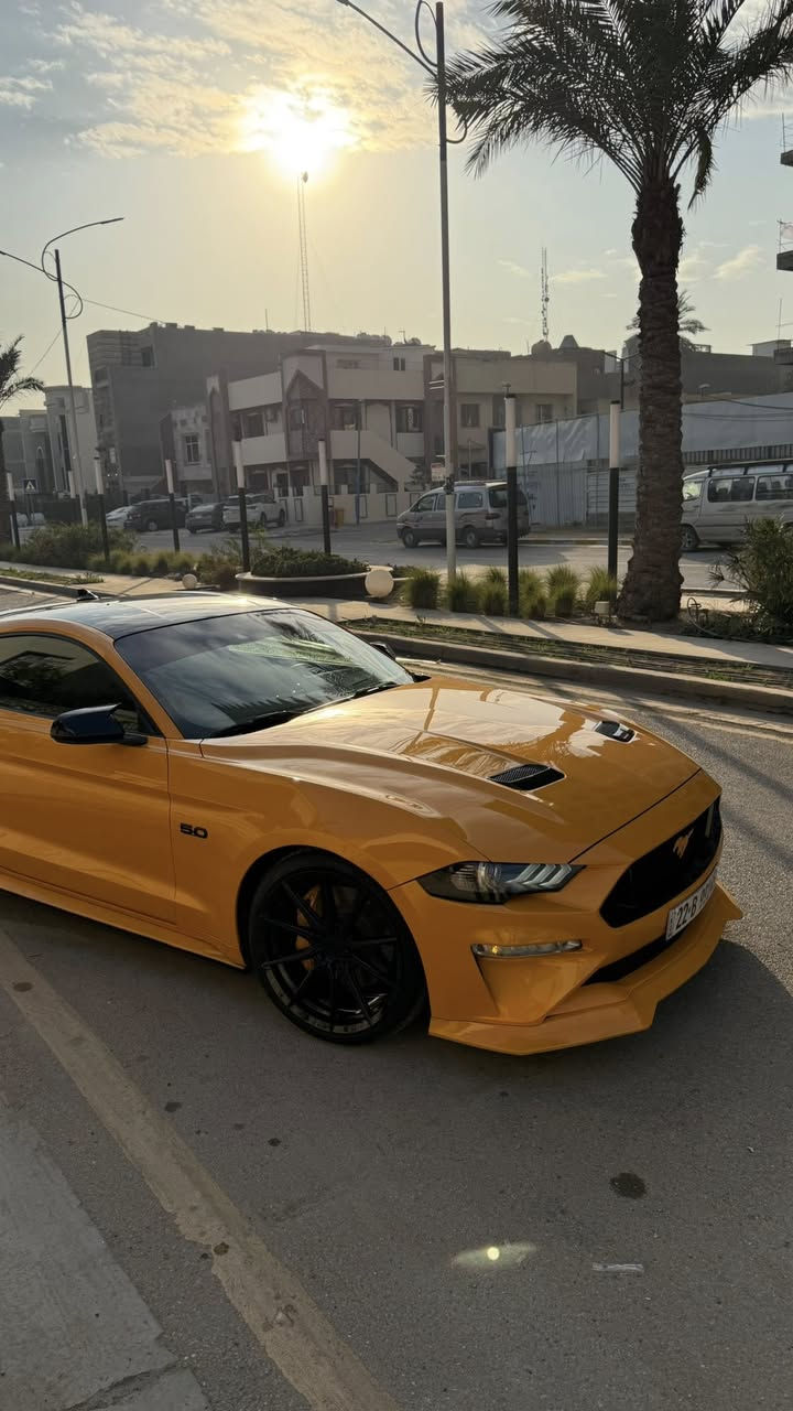 موستنك GT 2022 بريميوم فولل لل اخير
بجم كبس بدون ايرباك لون مميز برتقالي بلاك توب
قماره اسود بلادي اصل من وكال

 
مكينه (8سلندر) 5000cc
كير اوتو (10)نمر

السعر (270) شدتين و سبعين ورقه ورقه  وبيها مجال بسيط للشراي 
ماشيه(30)الف كيلو متر وليس ميل

مكان (بغداد-الحارثيه)
لون (برتقالي مميز) 
رقم تلفون *********** 

رقم اربيل الجديد فحص هزة جديد وسنويه باسمي تحويل ثاني يوم يعني ما تحير بصوت اكزوز لو وشومات لن هزة جديده
—————————————————————————
رقم شاصي(1FA6P8CF6N5118462)

سياره حادثها شبه كلين ركزلي على (ربع جاملغ صبغ) 
( ربع بنيد صبغ ما مفتوح براغي) تريد تعتبرها قطعه اعتبرها بس هيا ربع
وبل العراق بيها حادث بل جاملغ خلفي صبغ جاملغ نصه بدون تكم 
سياره راديتر وكالة مروحه وكالة ماي راديتر وكالة ما مبدل على وضع شركة حادثها سخيف كلش وصور حادث بل منشور   
وساحب تقرير  كار فاكس مالتها  بفلوس ايضاً ما بيها اي حادث مسبق ب امريكا او غرق الي يحب راسلني واتس اب ارسله تقرير 
   ————————————————————————

سياره كير مكينه اكسل كاردن صدرها بحالة الوكالة برغي ما مفتوح بيها بجم كبس البراكيته اماميه حتى ضربه مواصلتها 
سياره من دخلت حد الان مسويلها ادامة وصيانه كامله بشركة  فورد القاصد دهن  وفلتر دهن و فلاتر شوته و تبريد كلة وكالة اصلي
 دشبولها ماكو اي كلوب معتلك كله صافي 
—————————————————————————
نجي على مواصفات فول 1/1 ماعدا دجتال
١- تشغيل عن بعد
٢- شاشة كبيرة sync 3 كار بلي
٣-اكتف اكزوز حسب المود تفتح بوابات(نورمال-سبورت-تراك)
٤-فجوج بريمبو 6بستم
٦-دمام صوت بل صندوك وكالة
٧-تحديد مسار
٨-رادار امامي 
٩-رادار جانبي(نقطة عمياء)
١٠-رادار خلفي 
١١-حساسات خلفيه
١٢-كامرة خلفيه
١٥-ستيرن تدفئه هيتر
١٦-خمس وضعيات قياده(نورمال-سبورت-تراك)
١٧-ترحيب بل مرايه
١٨-هيترات بل مرايه
٢٠-سستم سماعات 
٢١-لايت زنون ابيض من وكالة
٢٢-شعار الموستنك ضوئي من الابواب بلادي 
٢٣-شعار موستنك ضوئي متغير بل دوسات بلادي
٢٥-كشنات جلد 
—————————————————————————

اضافات عليها 
٣- ولف حماوه مشميتو ١٢٠ دولار
٤-اكس بايب+ اج بايب 
٧-لحية ار تي ار ١٠٠ دولار
٨-دوسات جانبيه ام زعنفه ١٠٠دولار
٩-سكوب جامه خلفيه ٨٠دولار
١١-شفتات ستيرن ٣٥الف
١٣-وشم وتضليل ب١٠٠دولار
١٤-صبغ فجوج ولحاية ويل ١٢٠دولار صبغ حراري اصلي
١٥- تفريغ اكزوز ودوان بايب واكس بايب و لحيم اصلي يم علي وادي اركون من طول لل طول استيل حتى مقاومة للصداء وبوري اعرض ٥٠٠دولار صوته مخيف
١٦-برمجة طلال فور برذر برمجة سيفتي قطرة دوانز ماكو تستقبل بانزين محسن ٣٠٠دولار 
١٧-شفقه خلفيه على جامه خلفيه ١٠٠دولار
١٨-لويات تهبيط نصبه سياره ٢٠٠ دولار
١٩-كفرات مري باتمان
٢٠- اضافة لحية ار تي ار ٩٠ الف
٢١-لد سموك بل دعاميه خلفية جانبي ب٥٠ دولار
٢٢- لد سموك بل دفيوزر خلفي ب٩٠دولار 
٢٣- بولش ونانو سيراميك يم NVN ب٢٥٠ دولار

سياره ربع دينار ما بيها مصرف كامله من اي نقص
