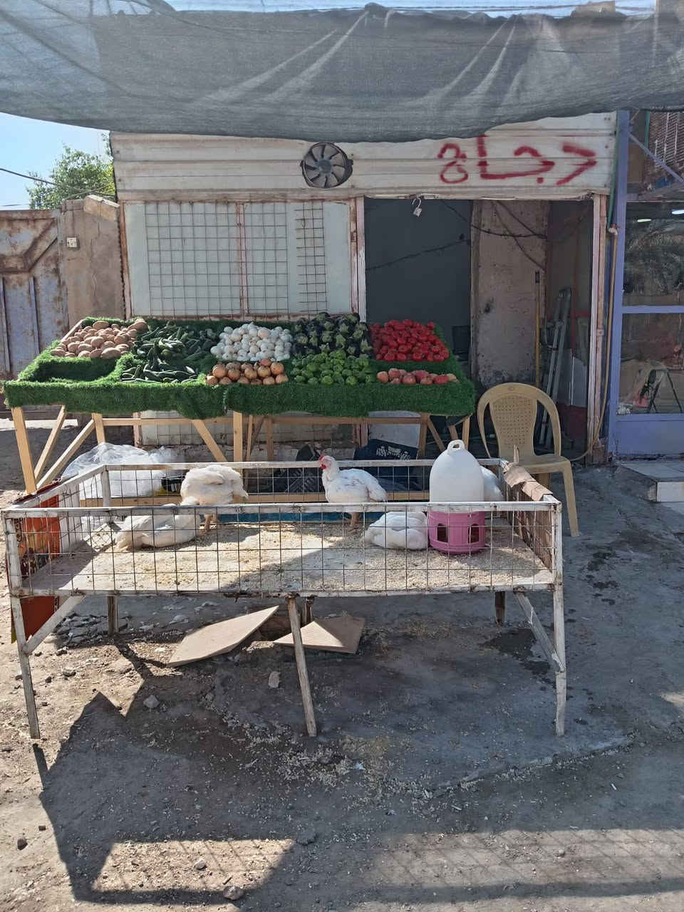 السلام عليكم محل دجاج للبيع *********** واتساب
