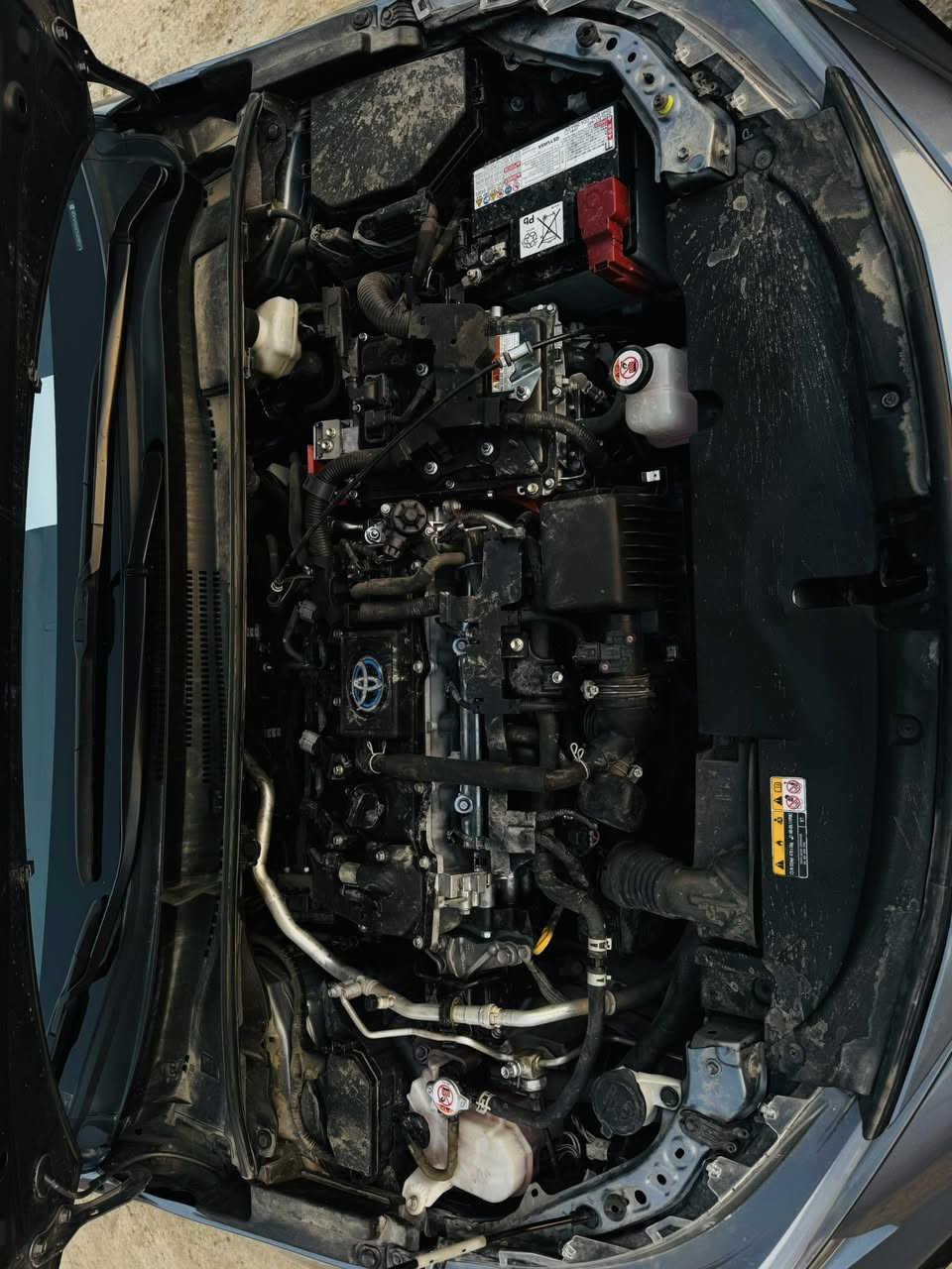 كورلا للبيع موديل ٢٤ هايبرد
مبدل بنيد ومصبوغ ودعاميه خلفيه مبدل ومصبوغه 

بدون ايرباك 

SE

دعاميه اماميه مصلح نفسها 

تحكمات جهتين 

مثبت سرعه 

مانع انزلاق 

تحديد مسار

قياده ذاتيه 

شاشه حجم كبير 

بصمه 

هندبريك بصمه

ثلاث انضمه قياديه smart /Eco/sport

ماشيه ٤٩ يعني ٥٠ 

السعر 165
 وبيه مجال مكاني بغداد  ***********
