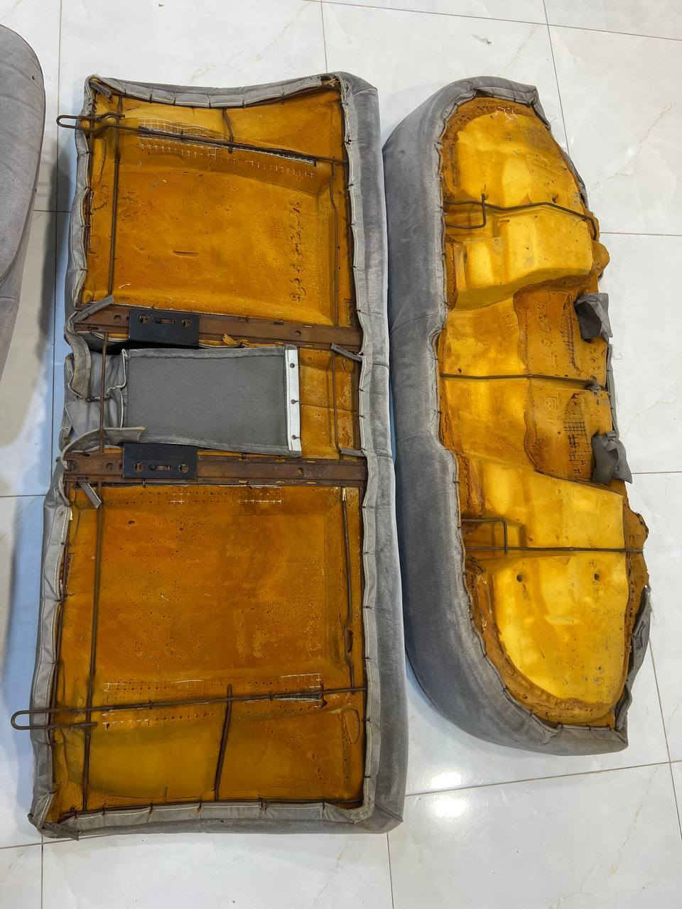 كشنات دولفين لون رصاصي اخو الجديد *********** مكاني بصره ابي الخصيب
