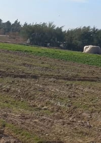 دونم • طابو زراعي • اليوسفيه السريع