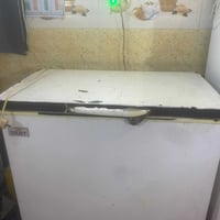مجمّدة • للبيع