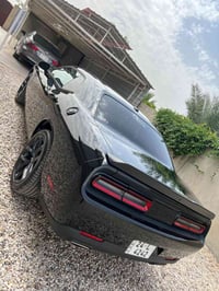 جالنجر ٢٠٢٣ • قسط ونقد • شبر صبغ