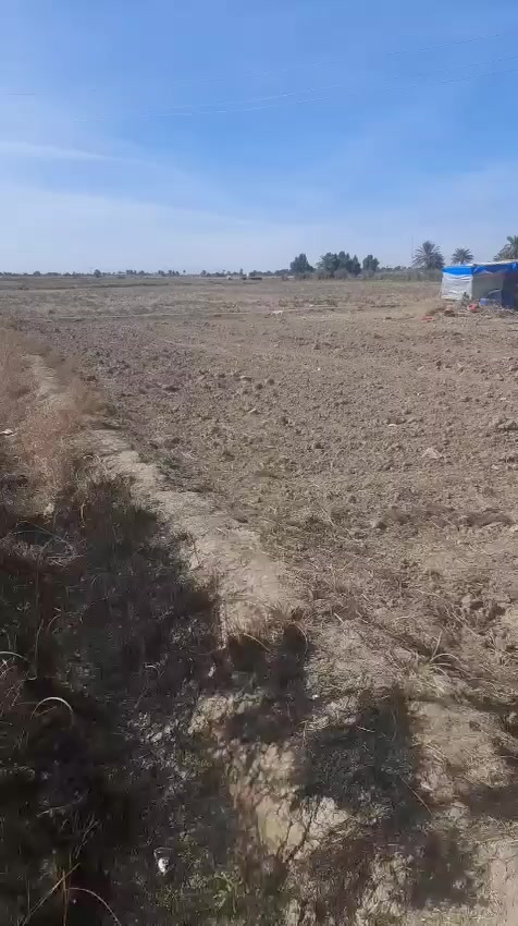 5 دونم سند 25 مستقل حق التصرف خدمات كامله منطقه هدوء مقابل لواء 55 يبعد عن الدولي  500 متر للاستفسار على رقم ***********
