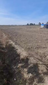 ٥ دونم • سند ٢٥ مستقل • مقابل لواء ٥٥