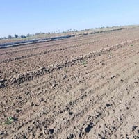 ارض زراعيه للبيع 5 دونم طابو سند 25 تحويل الرضوانيه الشرقيه تبعد عن ال...