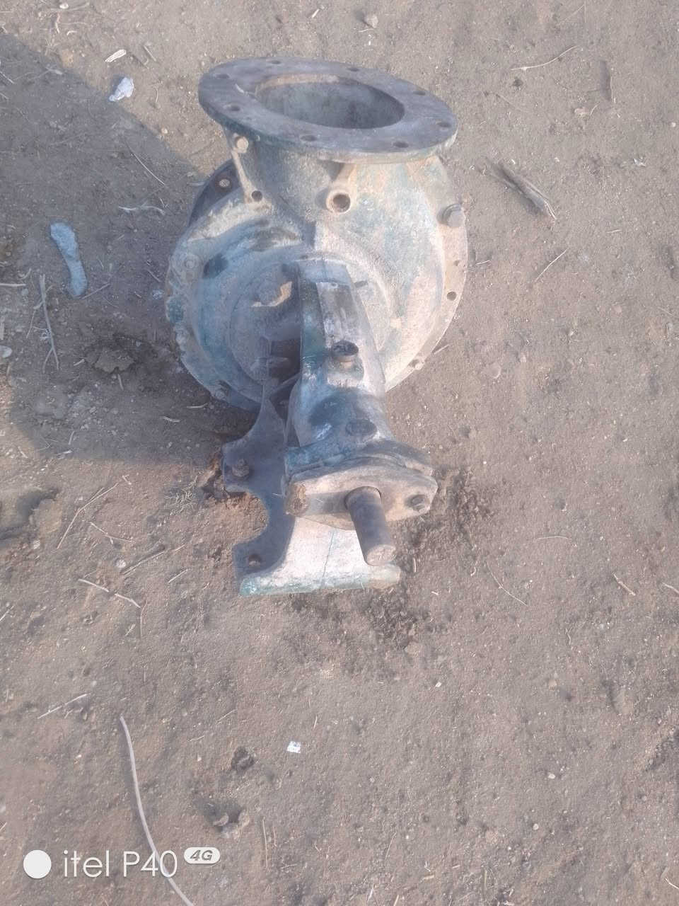 السلام عليكم خنزيره للبيع مال ابو العشره جديد العنوان الناصريه قلعه سكر سعر 50ربي مج ***********
