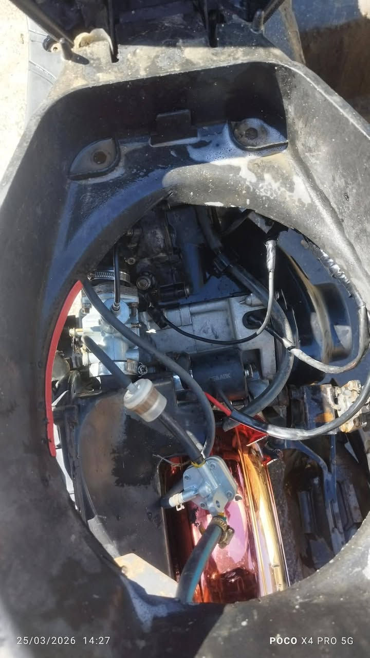 مكس عدله للبيع او مروس 55 شلعه ومعدل كفراته كامله  سعر 450 وبه مجال مكاني نجف ناحيت القدسيه


**إذا كنت صاحب هذا الإعلان وتريد حذفه لأي سبب، رجاءا أرسل رسالة إلى الدعم الفني**