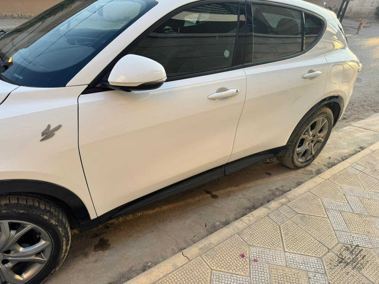 السلام عليكم
دوج هورنت RT بلكن 2024 رقم بغداد
بانزين وهايبرد وشحن كهرباء
حادثه باب السايق ربعه صبغ والوراه هم ربعه صبغ فقط
بدون ايرباك بدون دواخل شواصي سليم

مكانه بالحله 

للاستفسار // *********** واتساب
