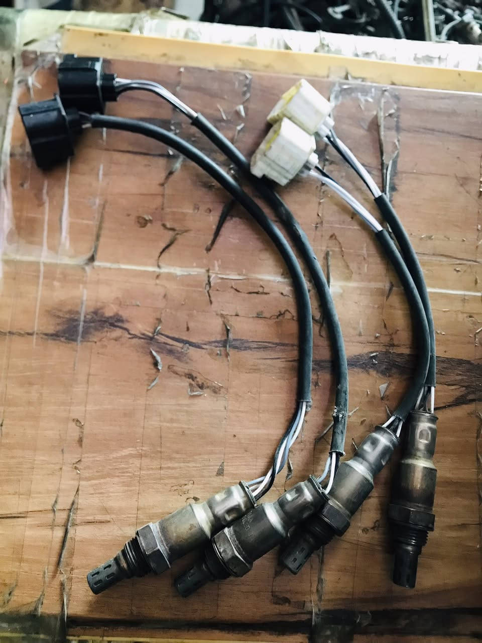 ‭0772 662 4605‬ رقم واتساب
