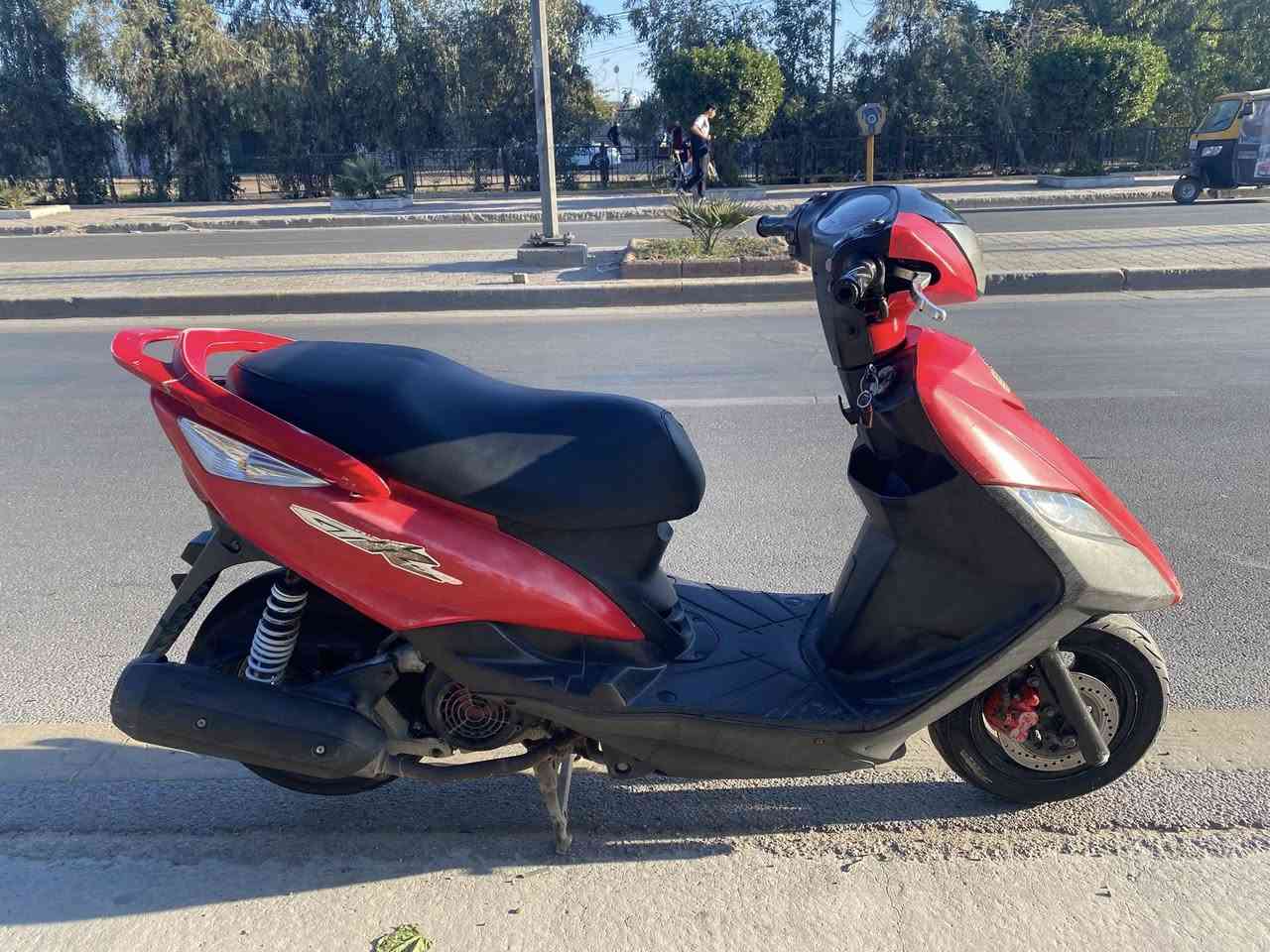 ثعلب كابريتر كامله كفرات بلادي مكينه مكفوله من النضوخ و التبخير والتنقيص أورقها موجوده كابريتر بلادي شلعه و معدل حلوه المكان بغداد الخطيب الزراعي 
***********
