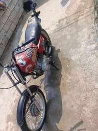 ارشة • نضيفة • اوراق مكفولة