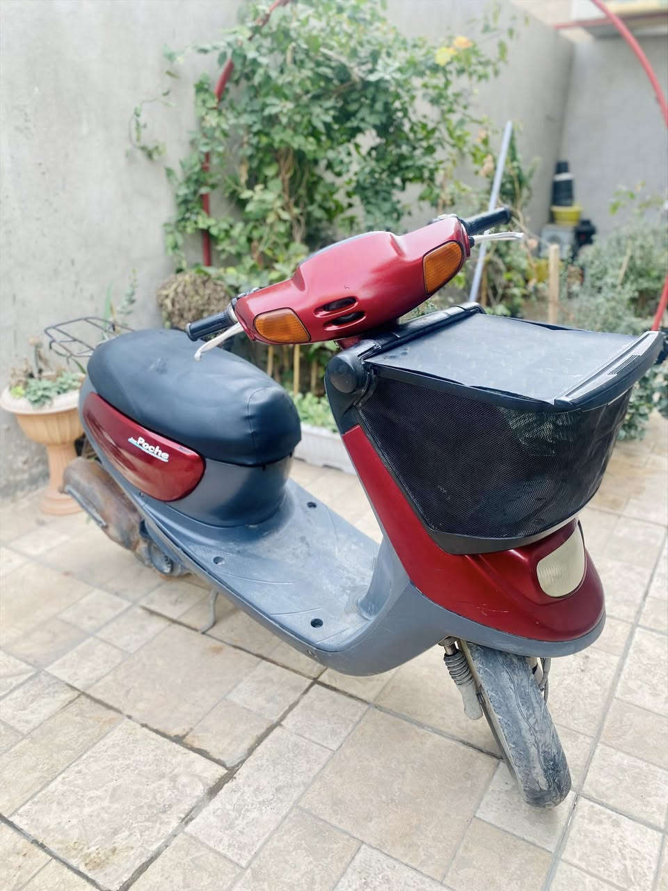 منغولي جداً نظيفه جاهزه كهربائيات وحدادية بعدها على وضع المعرض السعر 650 العنوان حي البلدية مقابل حي النقيب *********** متوفر واتساب
