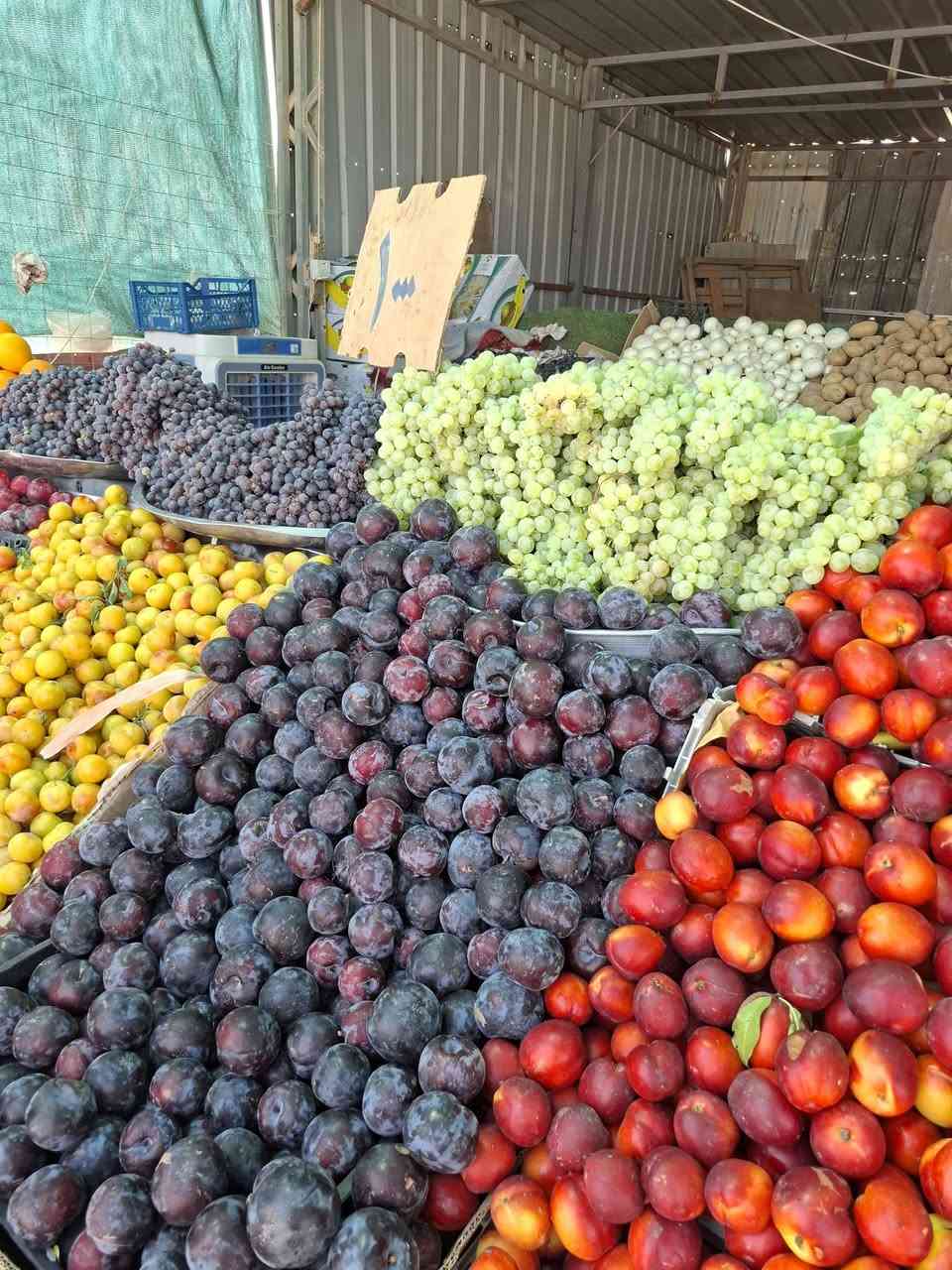 بسم الله زبائنا الكرام تشكيلة اليوم درجة اولى واسعار مناسبه...علوة الريان..مدخل الديوم بمكان السيطرة القديمة..توصيل ماكو نعتذر


**إذا كنت صاحب هذا الإعلان وتريد حذفه لأي سبب، رجاءا أرسل رسالة إلى الدعم الفني**