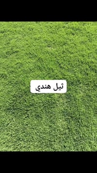 يوجد انواع ثيل الطبيعي لجميع المحافضات اتصل ودلل #07853046449#