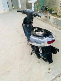 دراجه منغولي • معدلة بلادية • بابل