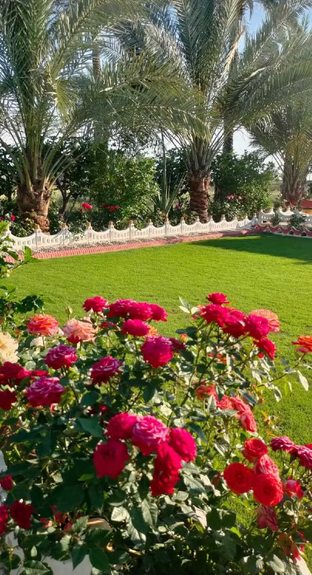 السلام عليكم يتوفر للديكور حدائق وأسعار مناسبة استفسار مراسل الصفحة او الاتصال على الرقم *********** واتساب
