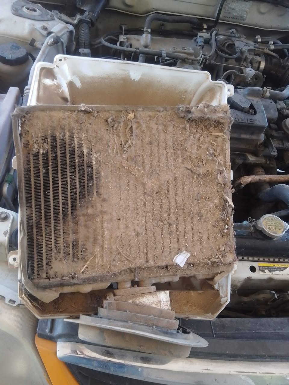 تعلن ورشه دبي للتبريد سيارات سعر الشحن الغاز مع الوشرات 50,000 فقط العنوان الرمادي منطقه البفراج قرب البوابه الشماليه رقم الهاتف *********** ابو لانا  الغاز على سعود نار 🔥
