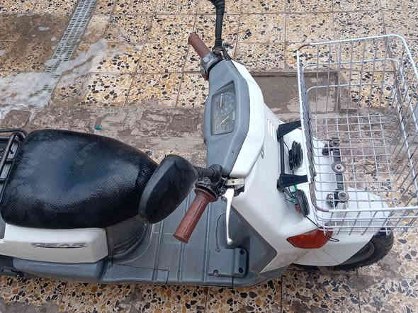 سلام عليكم دراجه بيكم فحل مكفوله من دعاميه لدعاميه زيرو نضيفه معروضه للبيع الي يريدهه بخدمته عنوان بغداد مدينت صدر هاذا رقم تليفوني الي يحب يحتويهه يتصل واني بخدمته سعر 600 وبيهه جمال
***********
