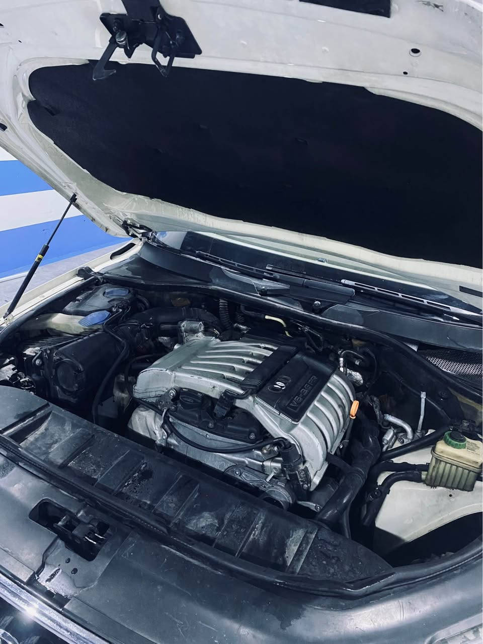 سلاو 
سياره ى ئاودى Q7
بؤفرؤشتن 
بوياغ دوبارجه و نيو بي ليدران بي زه ربه 
مواسفات فول فول 
ده بل اكسل گيرو مكينه كاربايات كامل به شه رتى بيست وستا
مواسفات بانؤ راما سي ريز گوشين ده بل كير هه ر جار گوشين هيته ر بيشو بشت ته بريد ساردو گه رم ته عديل سورعه كامل مواسفات هه موى يشه كات
مكينه ٦بستنى عادى مرغوب 
٢٠٠هه زارى عقيقي رؤشتيه 
٤رتايو ويلي نوي 
ته عويل به ناو كردن به شه رت وكاله به ناوه خؤمه 
سياره كى جاهز جاهز بي كيشه يه 
سعرى ٩٠معاملكى برايانه 
سياره له هه وليره 
زانيارى زياتر 
*********** أربيل, العراق
