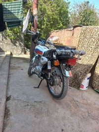 ياماها • موديل 2025 • بدون أوراق