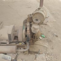 مولده هندي • شغاله • حله