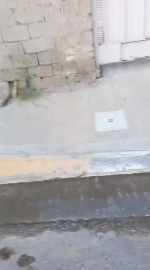 سلام عليكم 
بيت للايجار في حي الجغيفي الاولى 
كما موضح في الفديو بدل الايجار 250
للاستفسار الاتصال على الرقم 
***********
*********** وأتس اب
