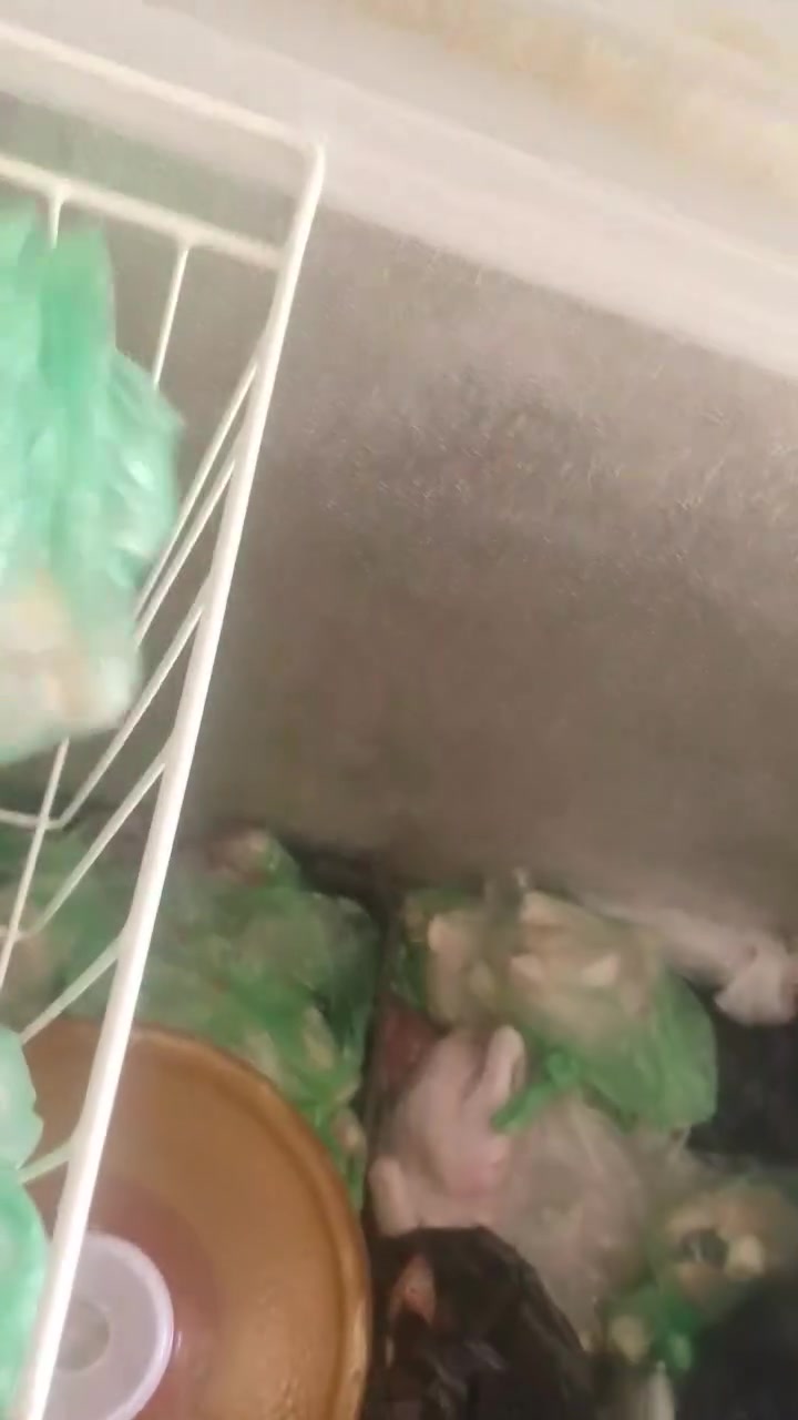 مرحبا! الوصف الفني اللي كتبته رائع ومفصّل جدا، جاهز أحوّله لتحفة 3D بأسلوب أفلام الأنيميشن العائلية الحديثة:

شخصيات كاريكاتورية بنسب مبالغ فيها، عيون كبيرة معبّرة بلمعان، بشرة ناعمة بتشتت تحت السطح، أسطح منحوتة مستديرة، مواد PBR شبه منمقة: فرو مخملي، بلاستيك وخشب مطفي، معدن عتيق خفيف، إضاءة سينمائية دافئة مع حواف مضيئة، وألوان حيوية متناسقة، بدون أي تفاصيل واقعية.

بس ما وصلتني أي صورة مع طلبك. عشان أعيد تصميمها بنفس التكوين وزاوية الكاميرا، ارفع الصورة هنا في المحادثة، وأنا أحوّلها فورا للأسلوب الثلاثي الأبعاد اللي وصفته.

تحب ترفعها الآن؟


**إذا كنت صاحب هذا الإعلان وتريد حذفه لأي سبب، رجاءا أرسل رسالة إلى الدعم الفني**