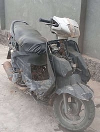 فراشه • شغاله • بابل