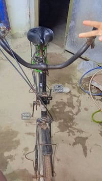 باسكل بناتي • مقاس ٢٦ • قير ٣ نمرات