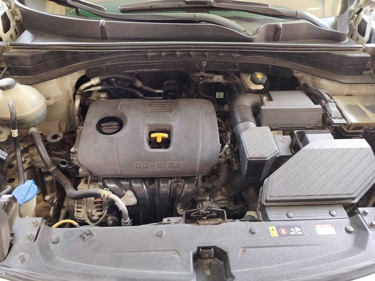 السلام عليكم
سبورتج 2019 خليجي كفاله عامه بيه فقط بركن الباب  رصعه مأشر عليه اني
رقم بغداد بأسمي
ماشيه 117
محرك 2000 دوش
تحكم استيرن جهتين
أشاير بالمري
مري شفط
3 وضعيات قياده
كشنات جلد
تخم تاير بيه
قطعتين تبريد
شاشه كبيره
السياره كلش نظيفه
العنوان بابل الحمزه الغربي
للاستفسار ***********
السعر192 بيه مجال بسيط
