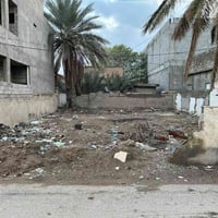 دلي عباس • ٣٠٠م • واجهة ١٣٫٥م
