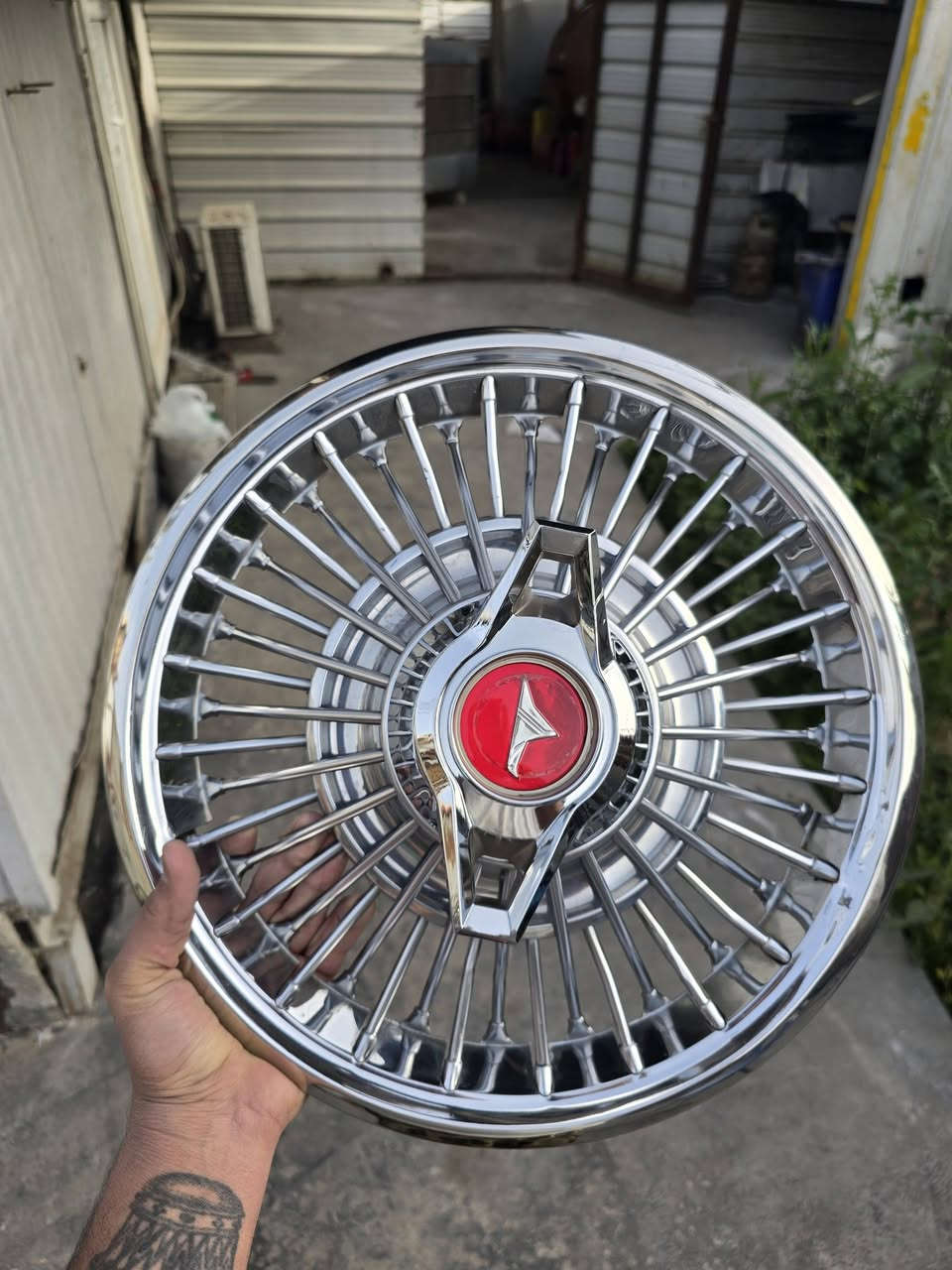 كبات موستنك للبيع ككوك.
عنوان بغداد شارع فلسطين
***********
