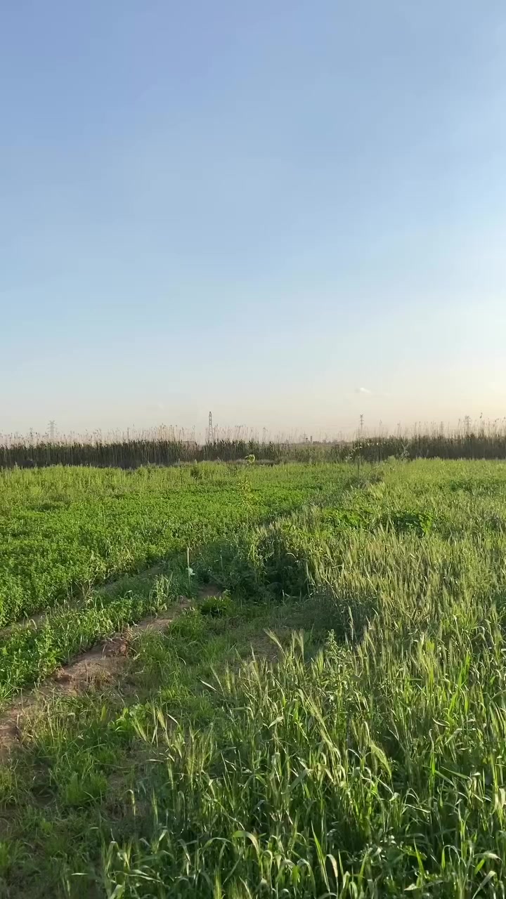 السلام عليكم ارض للبيع المساحة ٢ دونم
تحتوي على أشجار فواكه و حمضيات عمر سنة 
وأنواع نخيل جيدة 
وبئر ماء صالح للسقي 

الموقع 📍قرية ٩ نيسان تقاطع النهروان تقع على المشروع الرابع الصب 

للتواصل ***********
