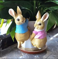 مع توصيل • ديكور • حديقة