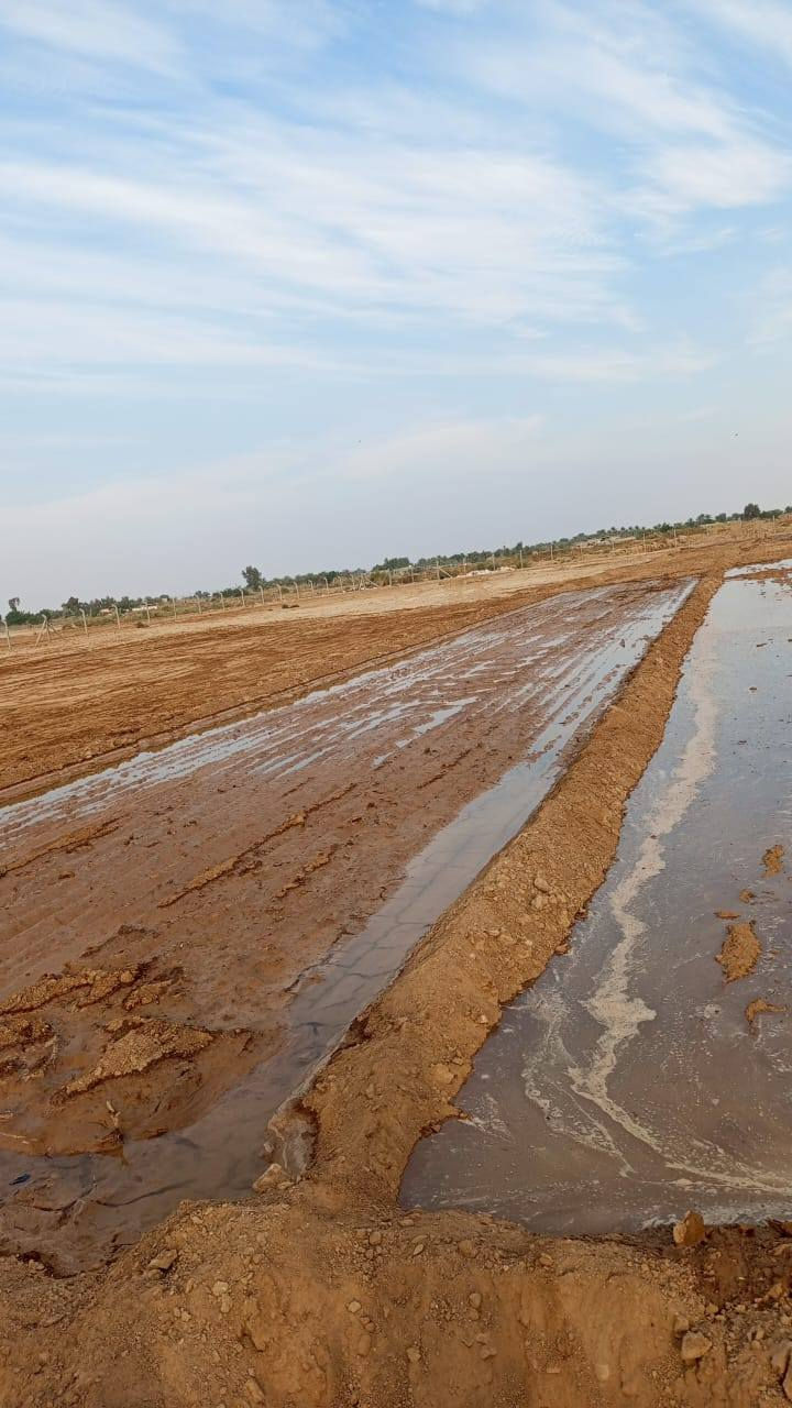 دونم طابو صرف زراعي (منطقة قصيبة)
الرقم /***********
