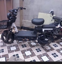 دراجة شحن • بنجر الخلفي