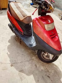 فراشه • أوراق كاملة • الحسينية راشديه