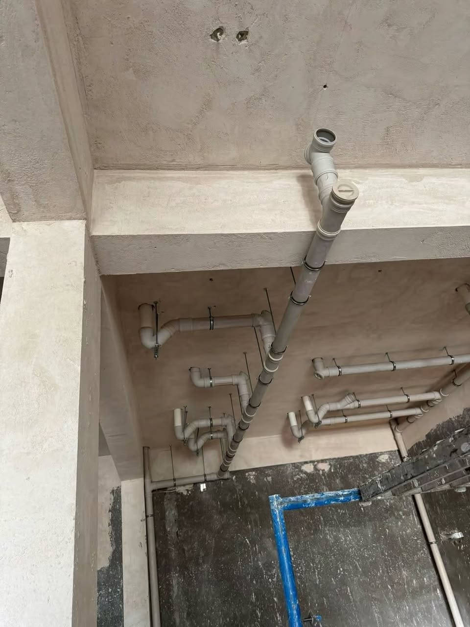 عمل صحيات
