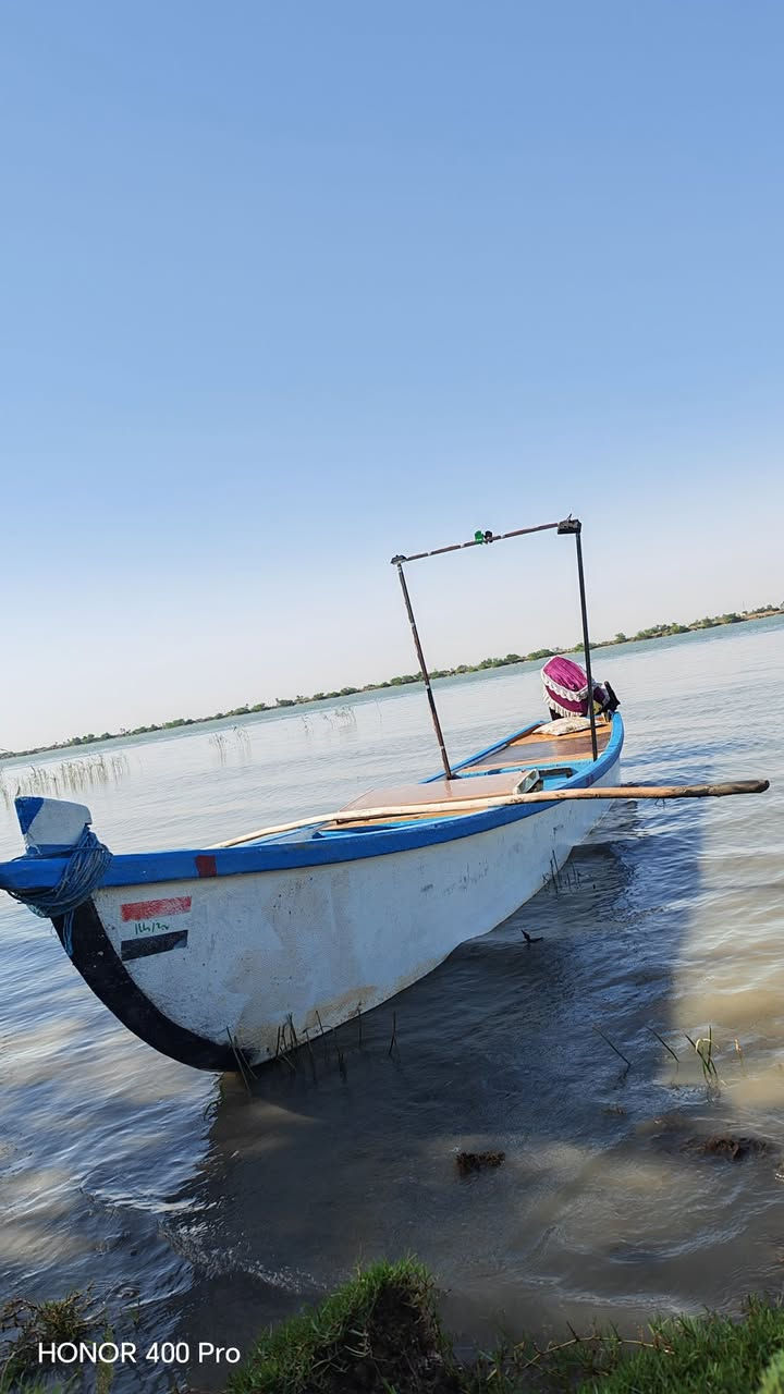 جينكوه للبيع الطول 13 البصره كرمه علي حي الطليعه السعر وات ساب ***********
