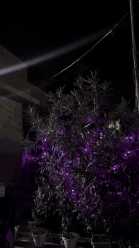 ديالى بعقوبة • ٣٠٠م • مرخّص