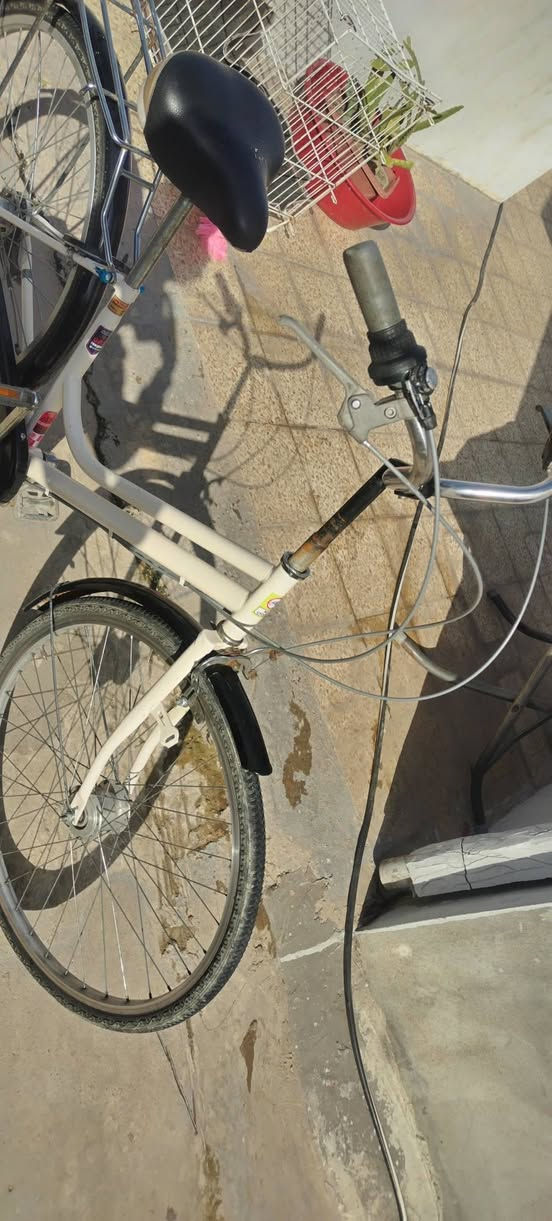 للبيع عبدحليم بناتي كير مصبوغ سعر 85بي مجال


**إذا كنت صاحب هذا الإعلان وتريد حذفه لأي سبب، رجاءا أرسل رسالة إلى الدعم الفني**