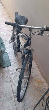 کەلار • بێ عەیب • دەبڵ گێڕە
