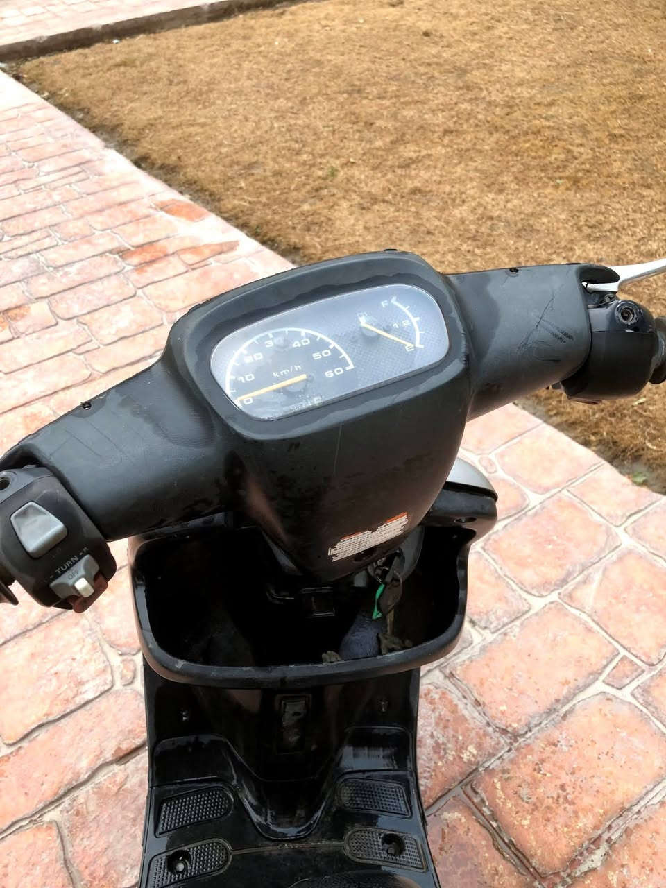 ٥٠ الف بطه ياباني
الدراجه للبيع متروكه صار فتره ما اعرف شنو عطله
تصفيه غراض مكاني كراده خارج ***********
#بطه #ياباني
