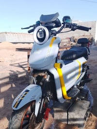 دراجة شحن • شحنة ٤٥كم • البصرة الجزيرة